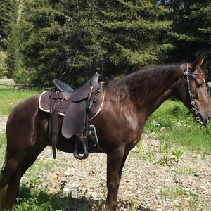 Meet your Posher, Debbie